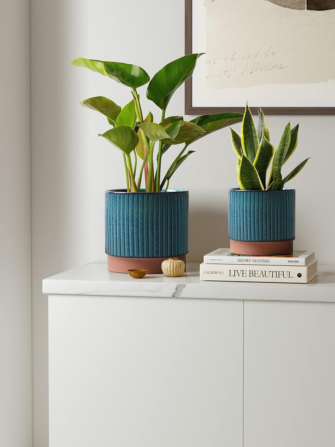 Set of 3 Ceramic Plant Pots wi - مراجعة Aloe Vera Pot وسعره