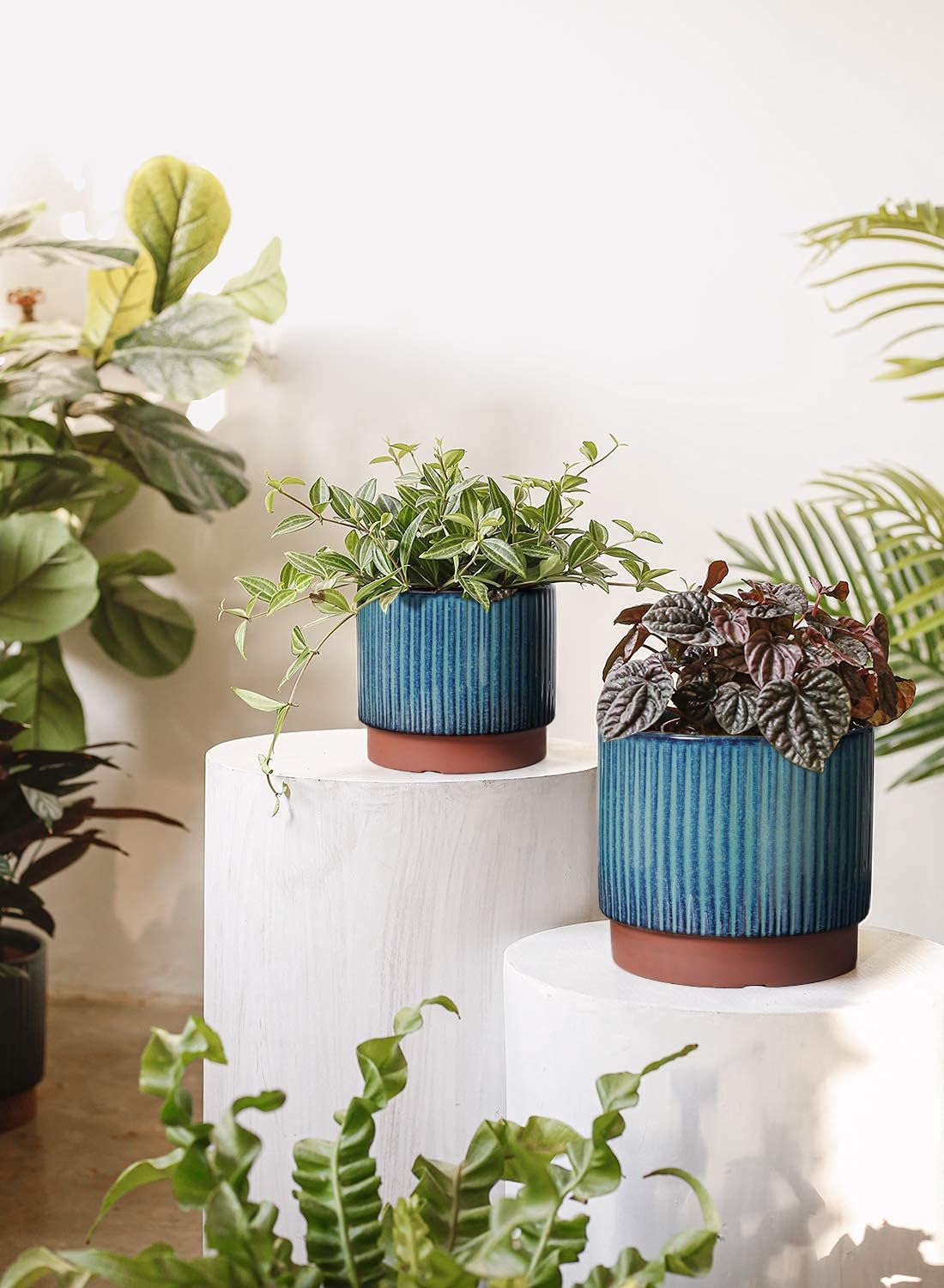 Set of 3 Ceramic Plant Pots wi - مراجعة Aloe Vera Pot وسعره