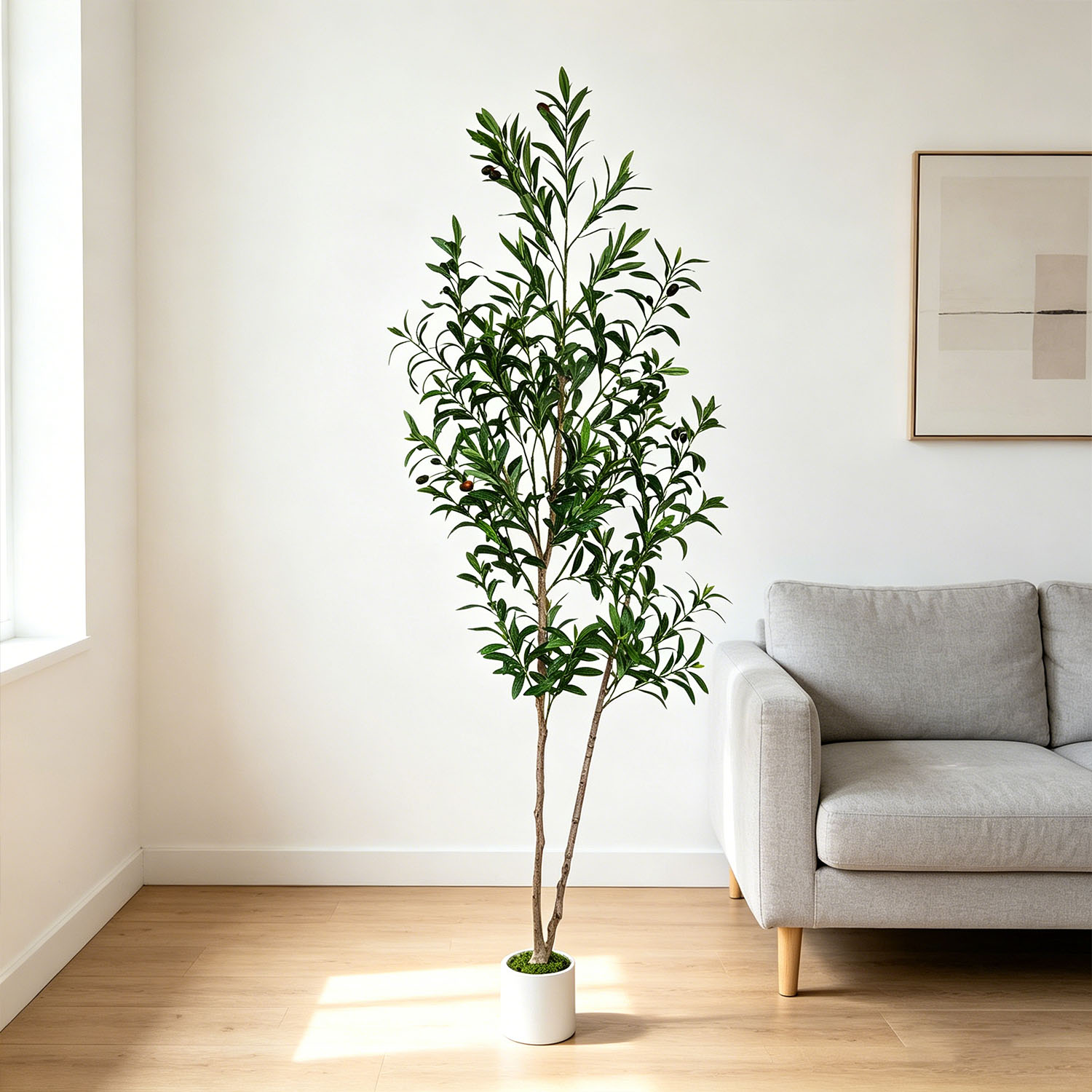 145Cm-175Cm/5.7Ft Artificial O - مراجعة Dracaena Marginata وسعره