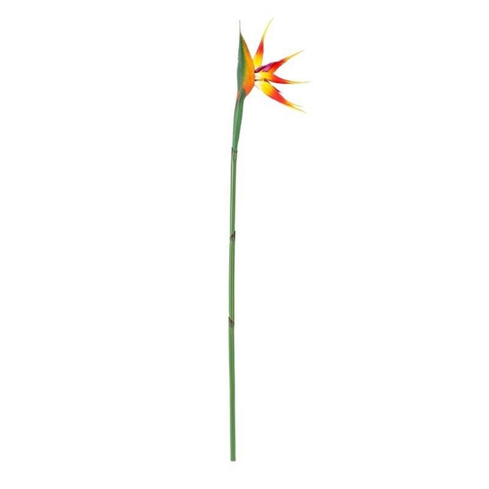 New Long Stem Artificial Bird  - مراجعة Bird Paradise Strelitzia وسعره