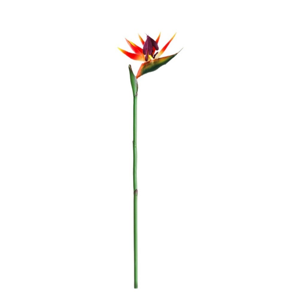 New Long Stem Artificial Bird  - مراجعة Bird Paradise Strelitzia وسعره