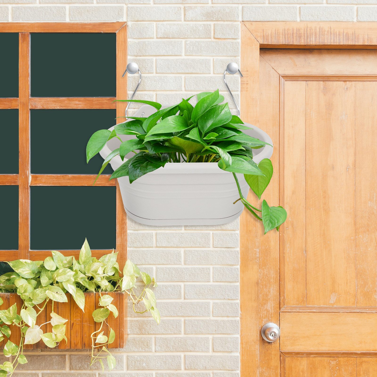 1Set Wall Hanging Flower Pot S - مراجعة Spider Plant Hanging وسعره