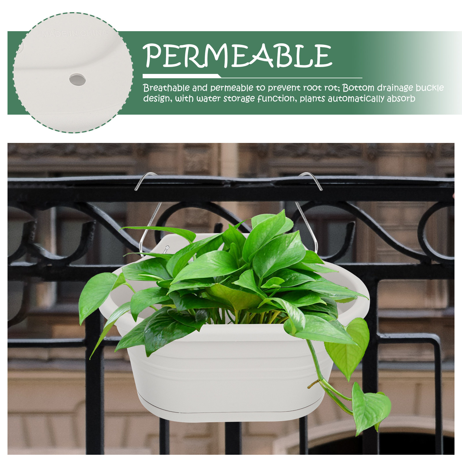 1Set Wall Hanging Flower Pot S - مراجعة Spider Plant Hanging وسعره