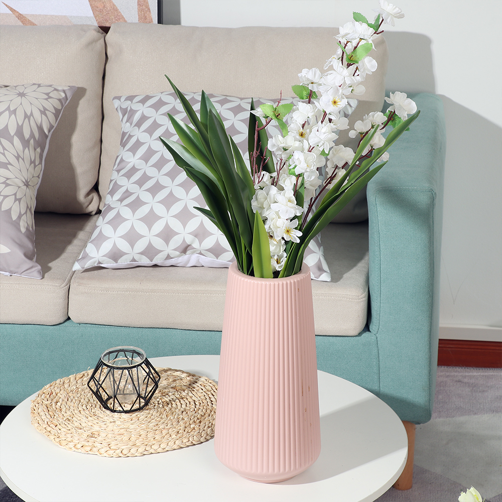 New Party Supplies High Grade  - مراجعة Dracaena Marginata وسعره