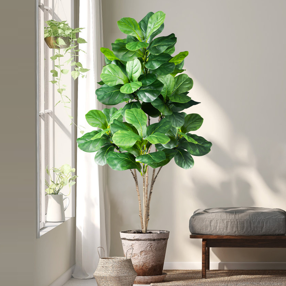 70-135cm Large Artificial Fidd - مراجعة Ficus Lyrata Tree وسعره