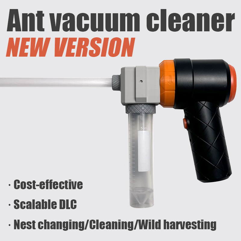 Ant Farm Collection Tool Ants  - مراجعة Begonia Rex وسعره