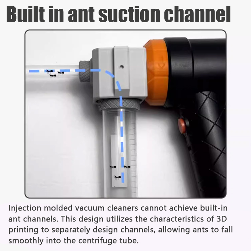 Ant Farm Collection Tool Ants  - مراجعة Begonia Rex وسعره