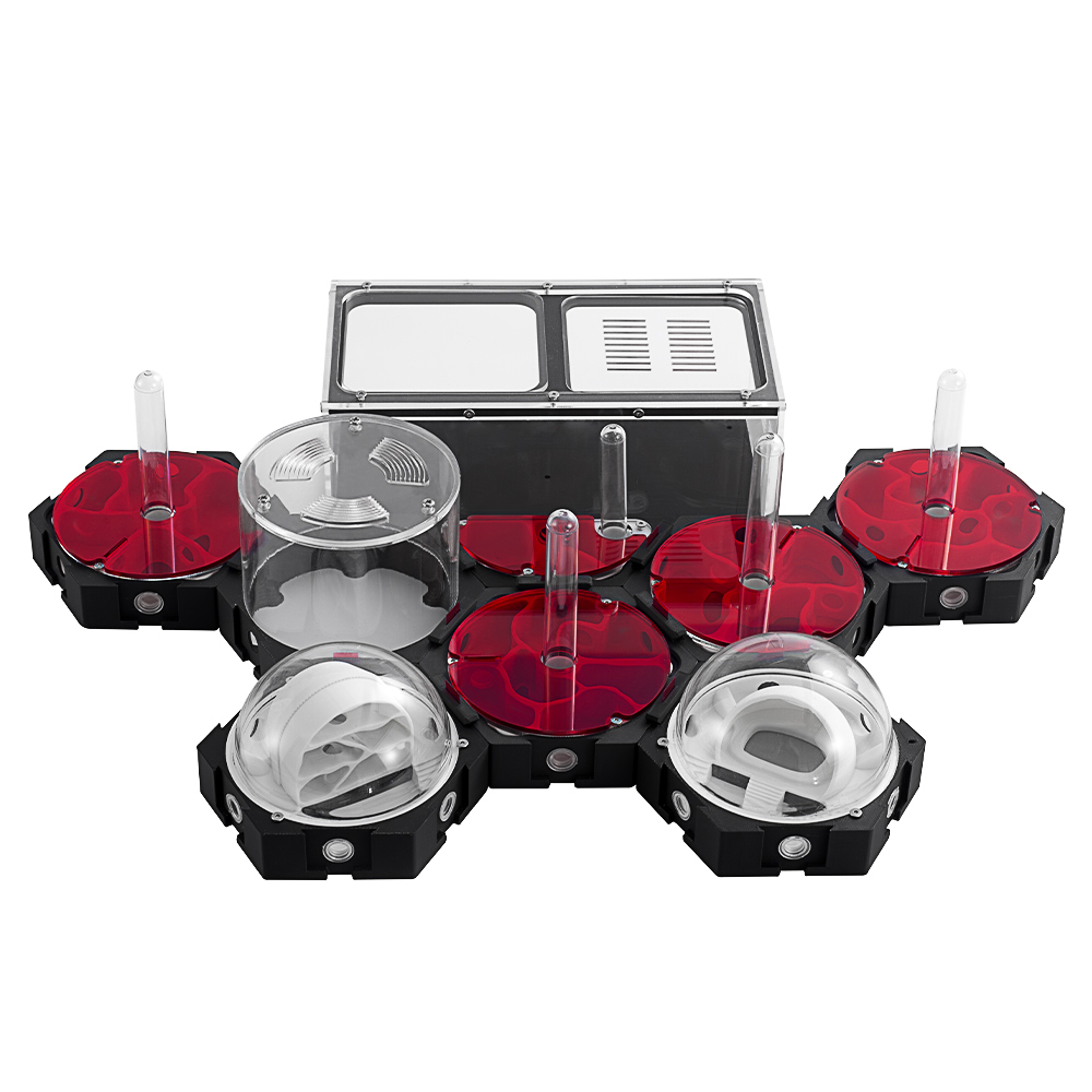3D Printing Ant Farm Infinitel - مراجعة Begonia Rex وسعره