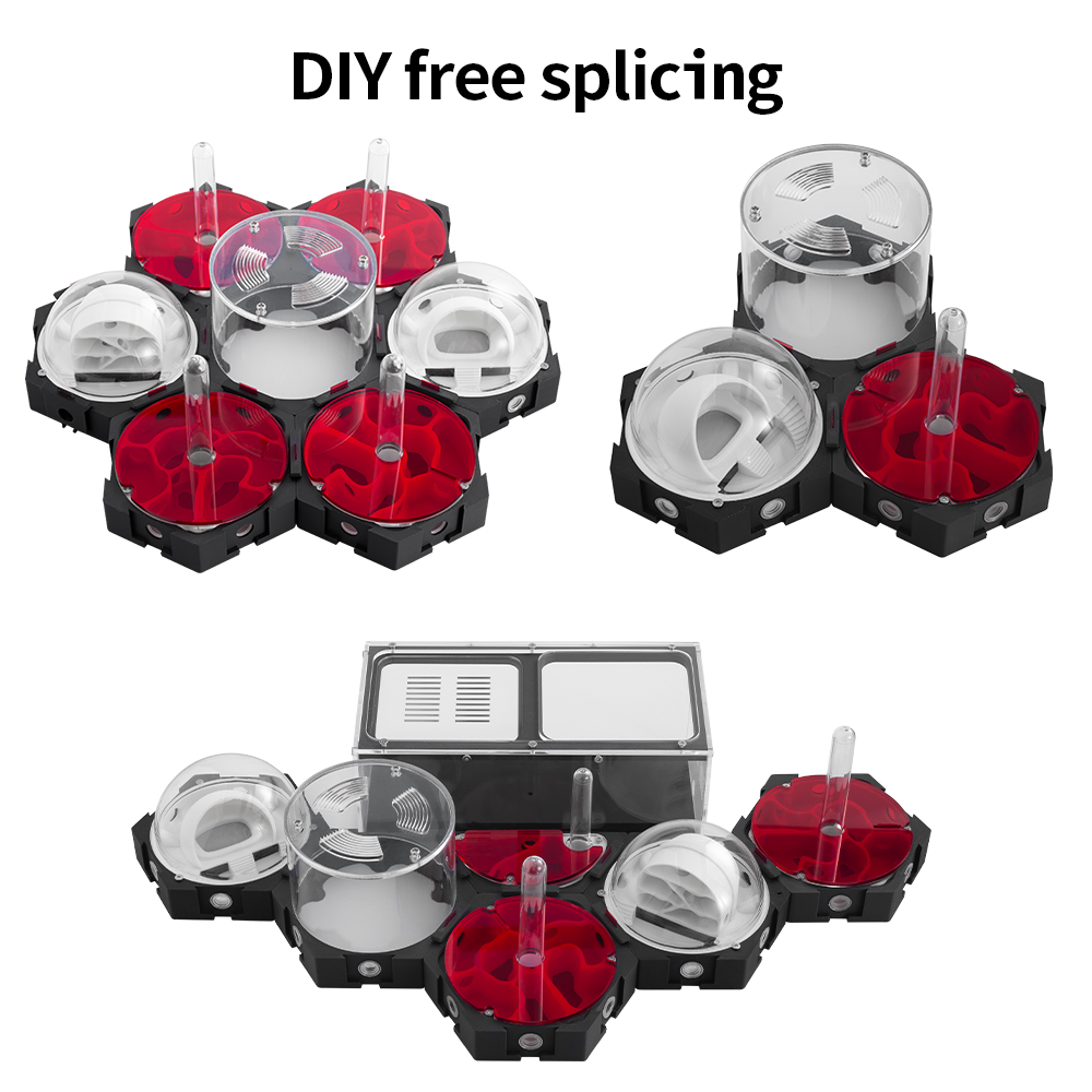 3D Printing Ant Farm Infinitel - مراجعة Begonia Rex وسعره