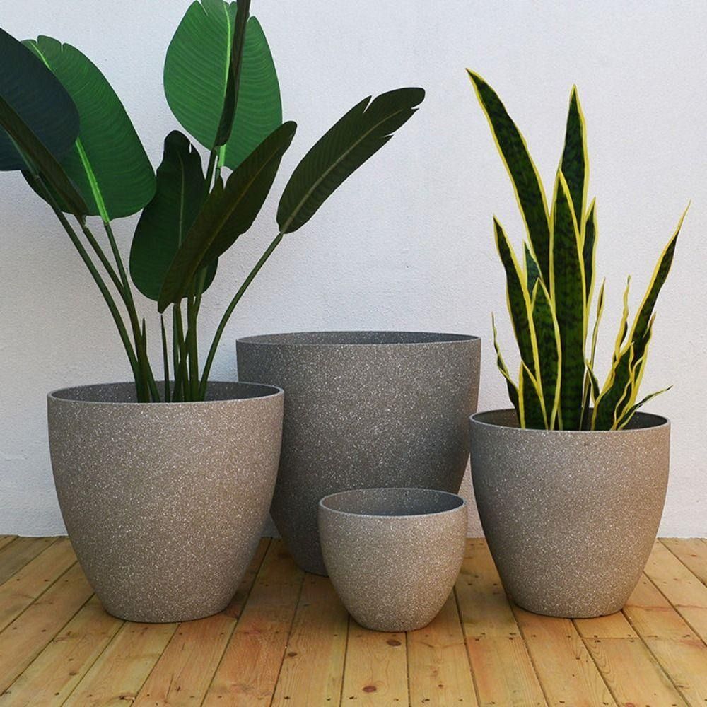 Frosted Imitation Stone Bonsai - مراجعة Aloe Vera Pot وسعره