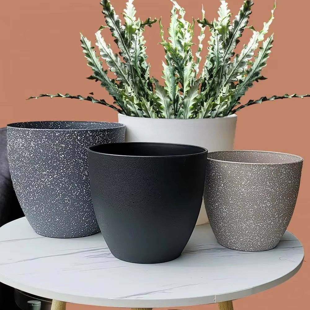 Frosted Imitation Stone Bonsai - مراجعة Aloe Vera Pot وسعره