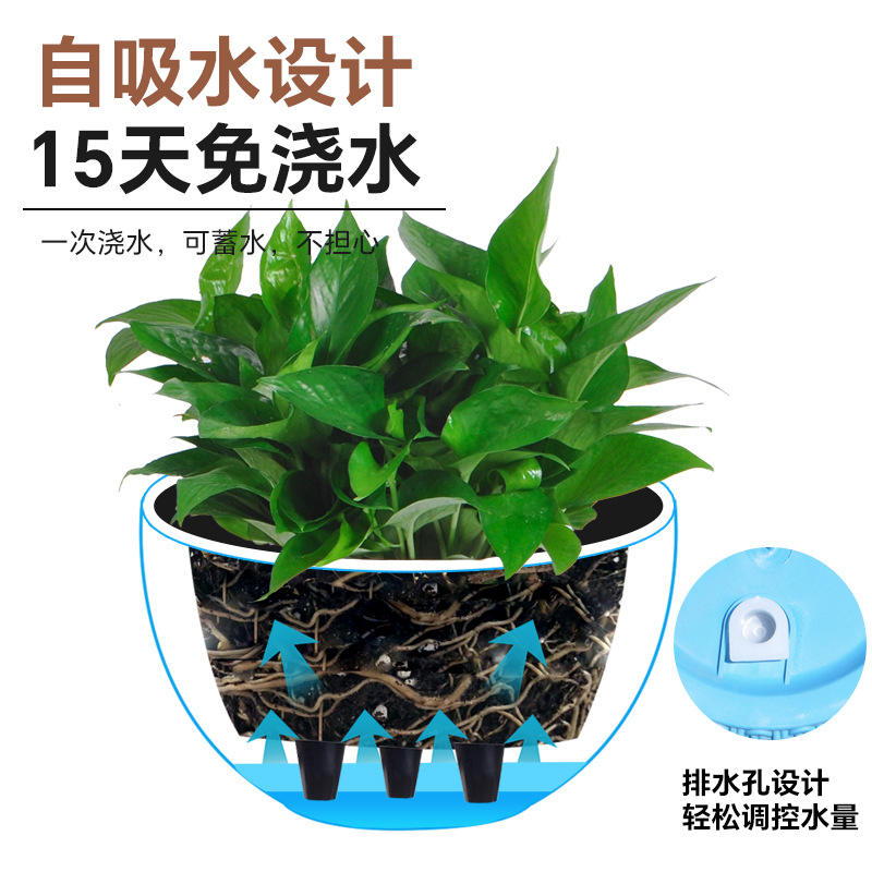New simple imitation rattan wo - مراجعة Spider Plant Hanging وسعره