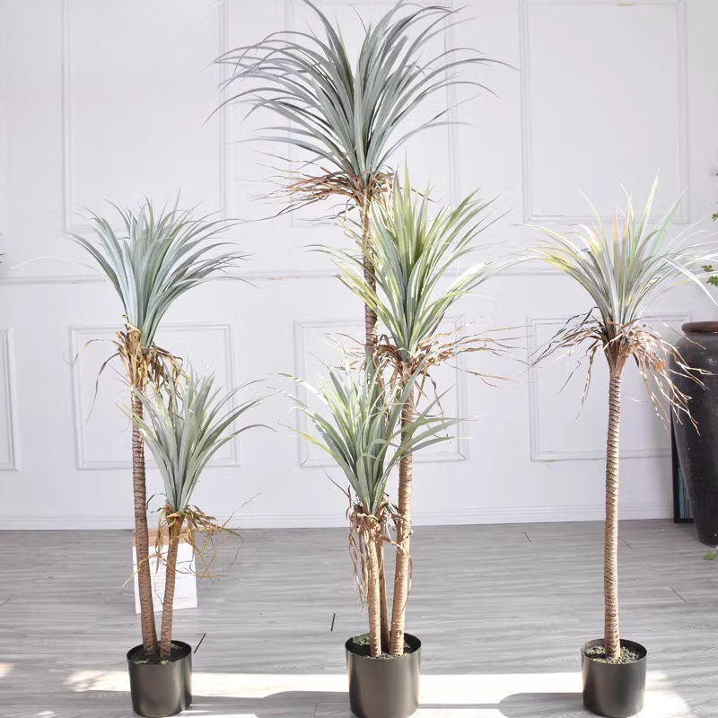 Dragon Blood Yucca Artificial  - مراجعة Dracaena Marginata وسعره