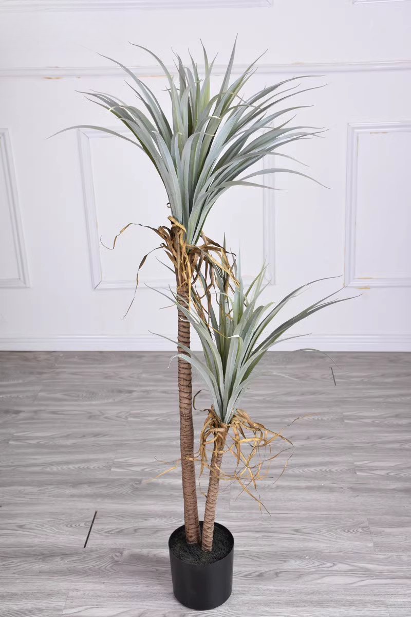 Dragon Blood Yucca Artificial  - مراجعة Dracaena Marginata وسعره