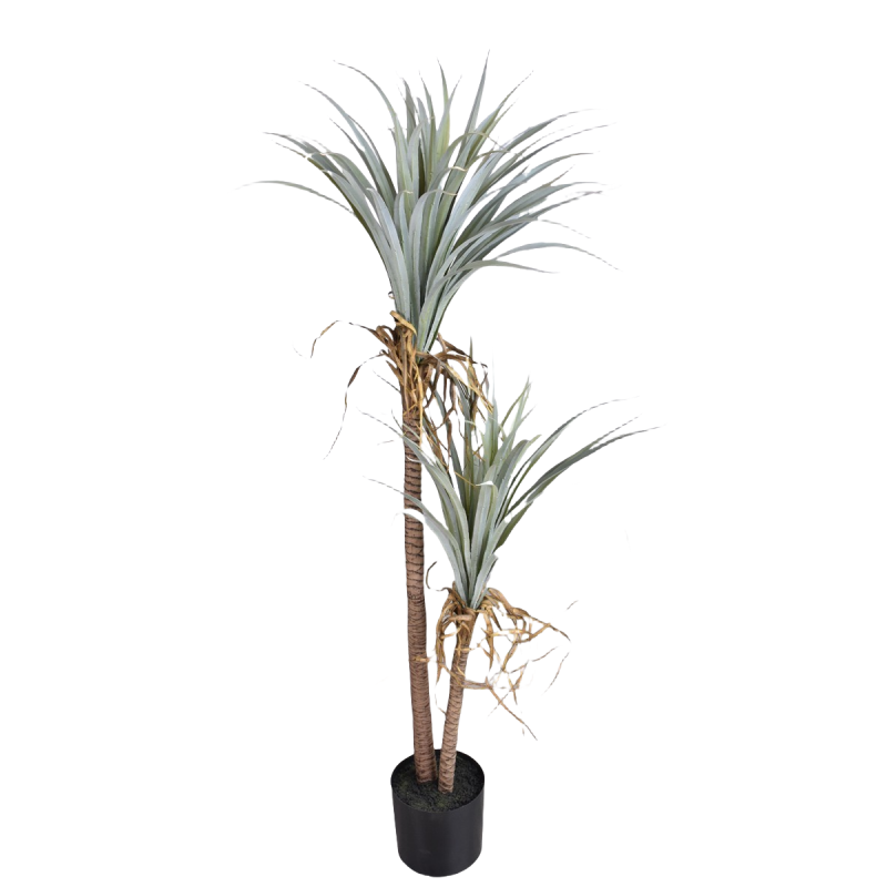 Dragon Blood Yucca Artificial  - مراجعة Dracaena Marginata وسعره