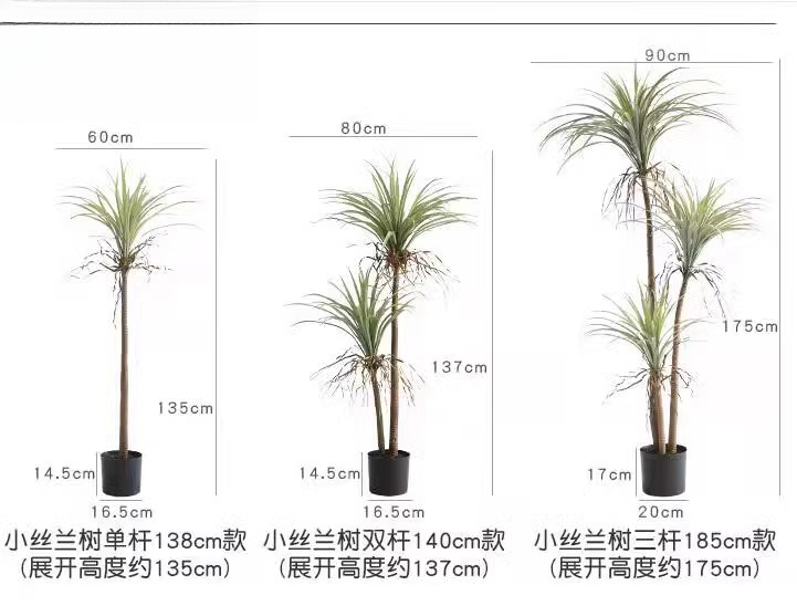 Dragon Blood Yucca Artificial  - مراجعة Dracaena Marginata وسعره