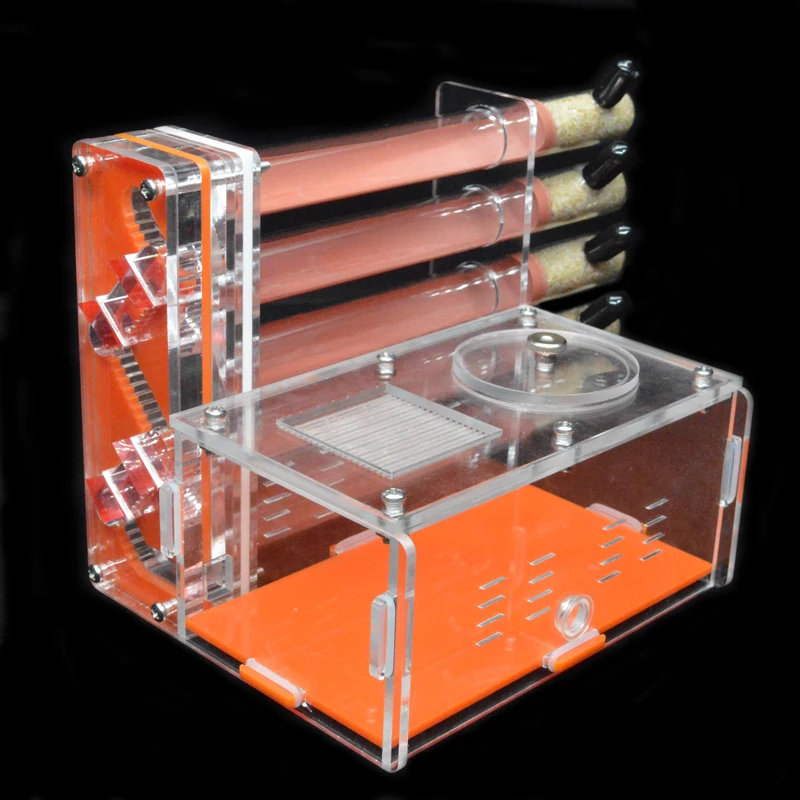DIY Acrylic Ant Farm 5 pcs 18- - مراجعة Begonia Rex وسعره