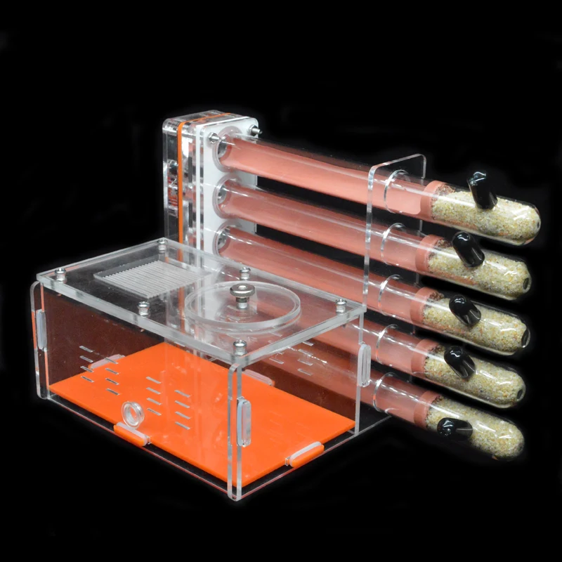 DIY Acrylic Ant Farm 5 pcs 18- - مراجعة Begonia Rex وسعره