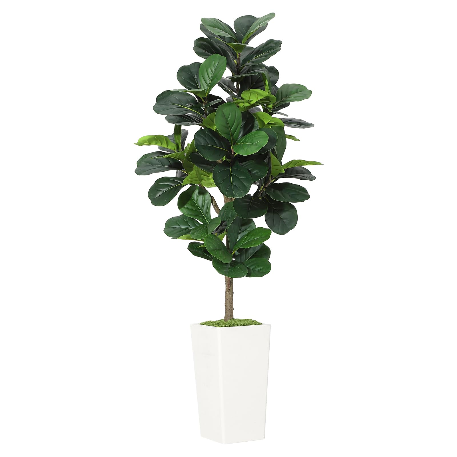Artificial Fiddle Leaf Fig Tre - مراجعة Ficus Lyrata Tree وسعره