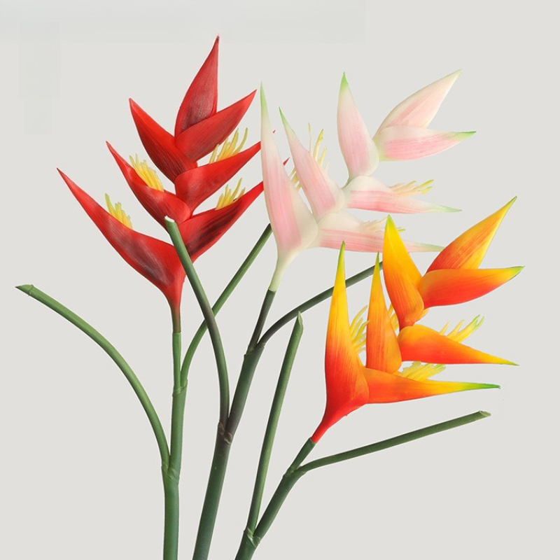 1PCS 85cm Artificial Strelitzi - مراجعة Bird Paradise Strelitzia وسعره