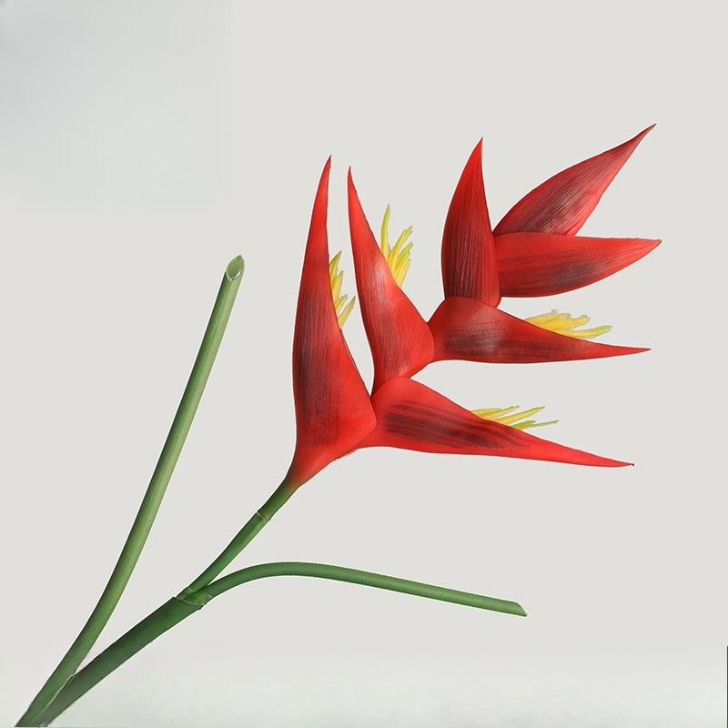 1PCS 85cm Artificial Strelitzi - مراجعة Bird Paradise Strelitzia وسعره