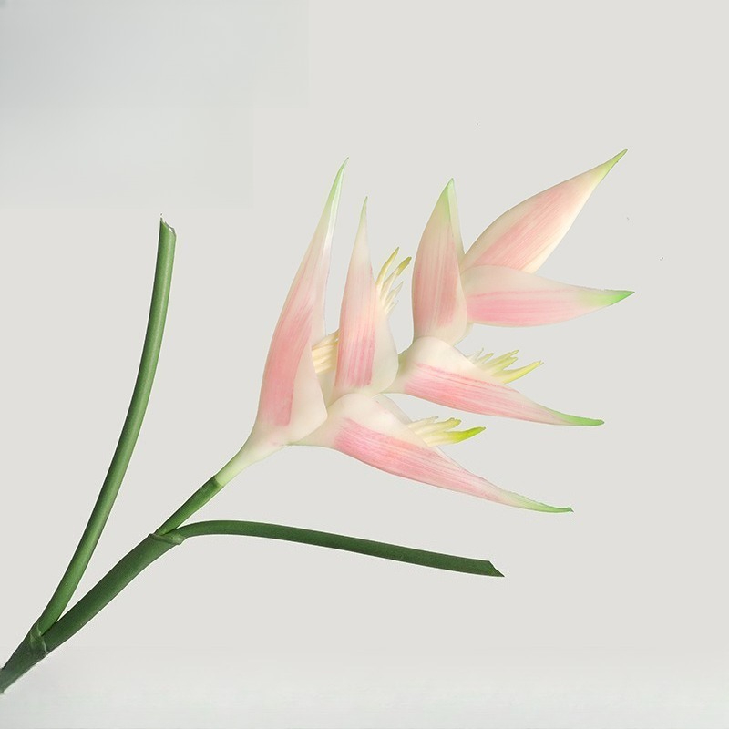 1PCS 85cm Artificial Strelitzi - مراجعة Bird Paradise Strelitzia وسعره
