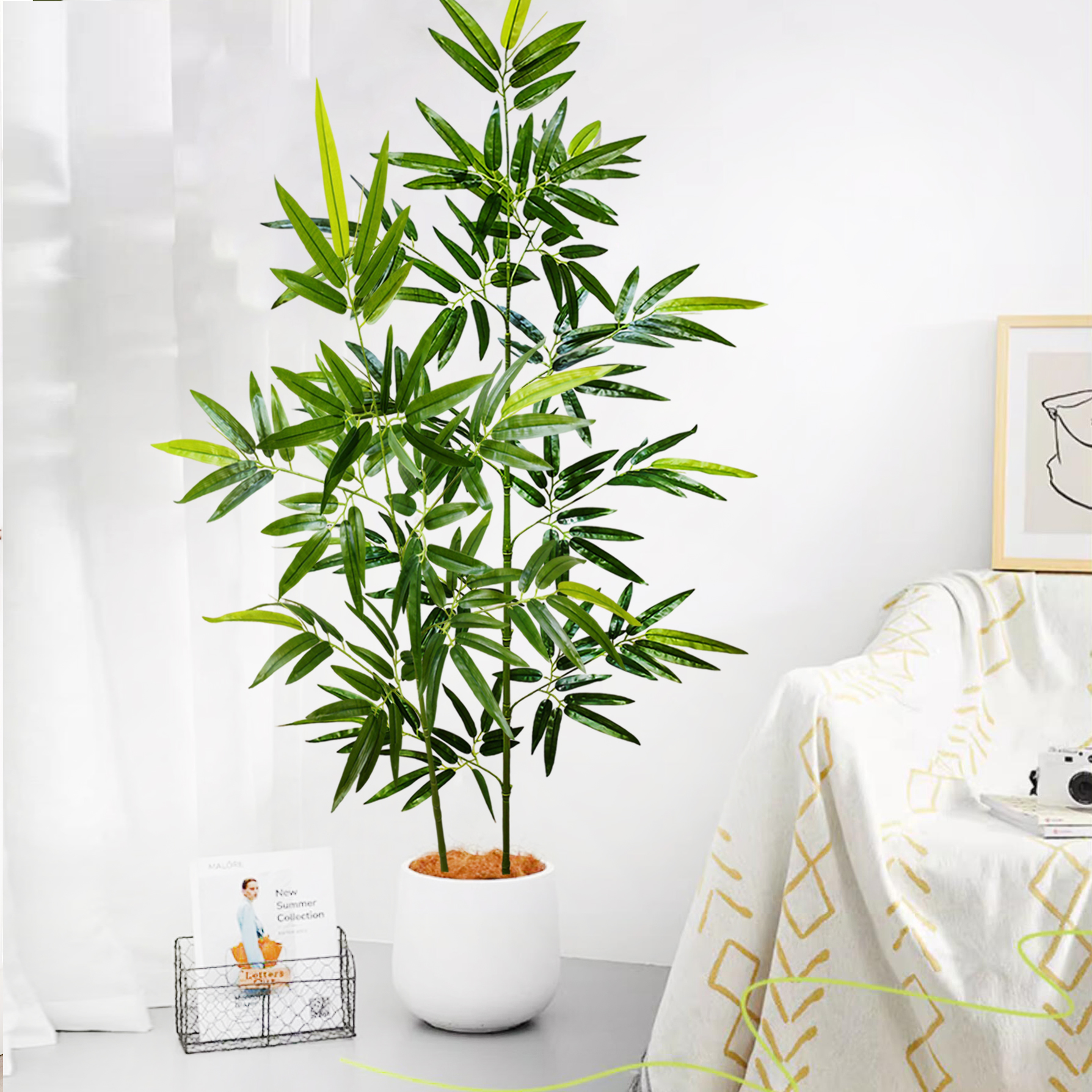 100-240cm/94.4in Artificial ba - مراجعة Dracaena Marginata وسعره