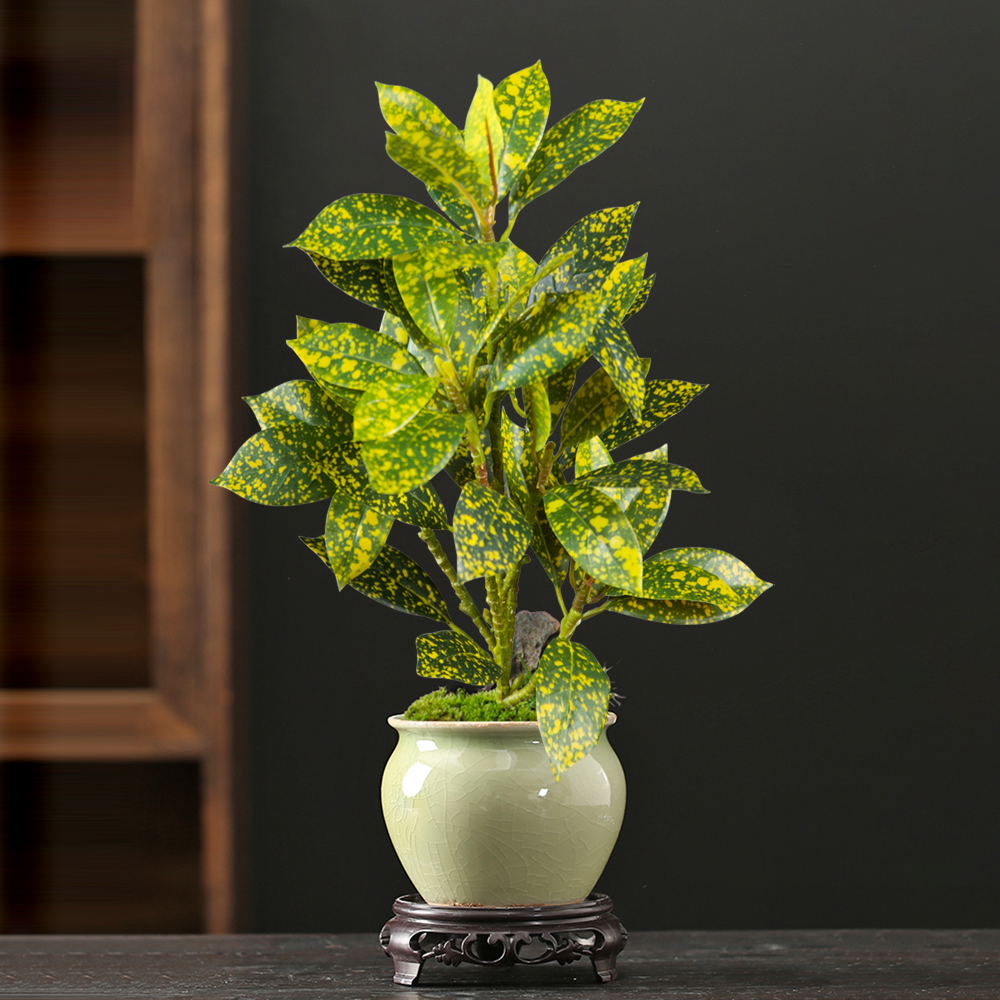 24-41cm Artificial Ficus Tree  - مراجعة Ficus Lyrata Tree وسعره