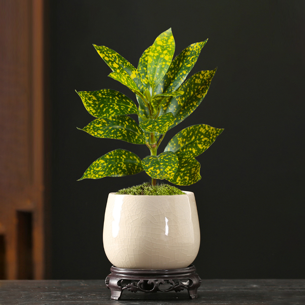 24-41cm Artificial Ficus Tree  - مراجعة Ficus Lyrata Tree وسعره