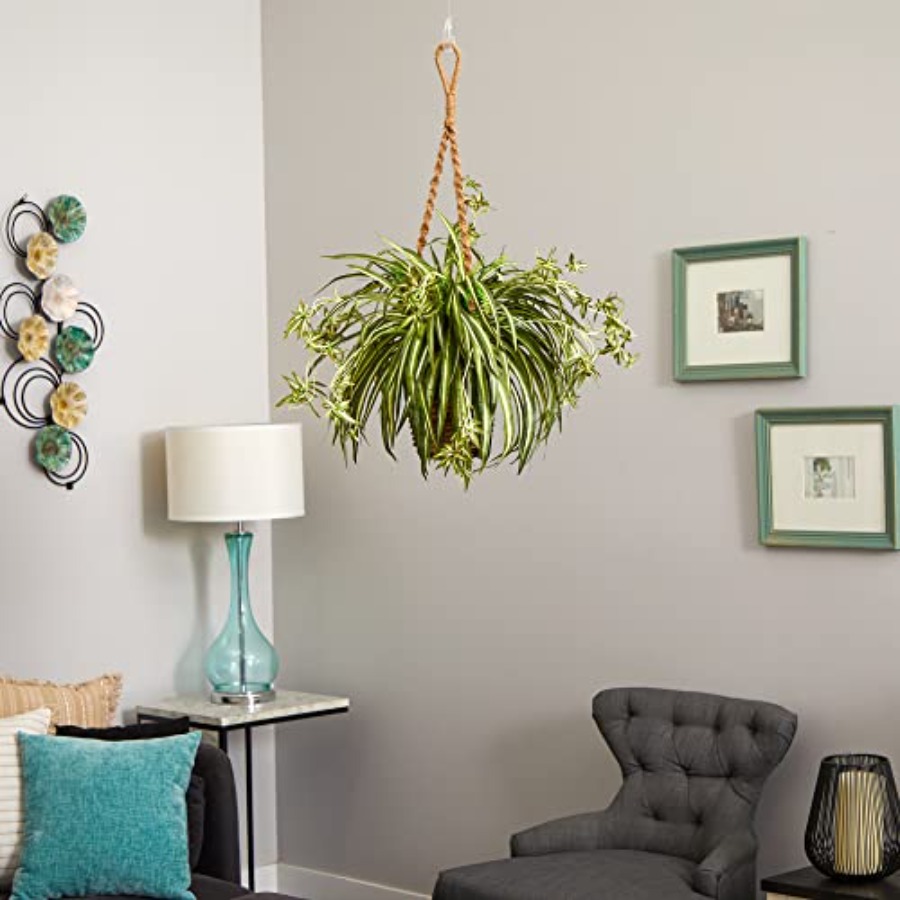 Spider Plant Hanging Basket fo - مراجعة Spider Plant Hanging وسعره