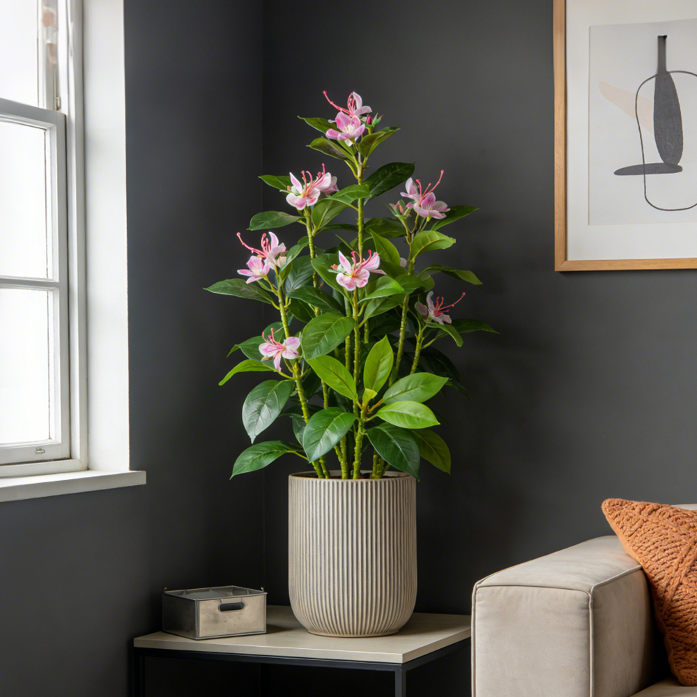 21-40cm Artificial Azalea Flow - مراجعة Ficus Lyrata Tree وسعره