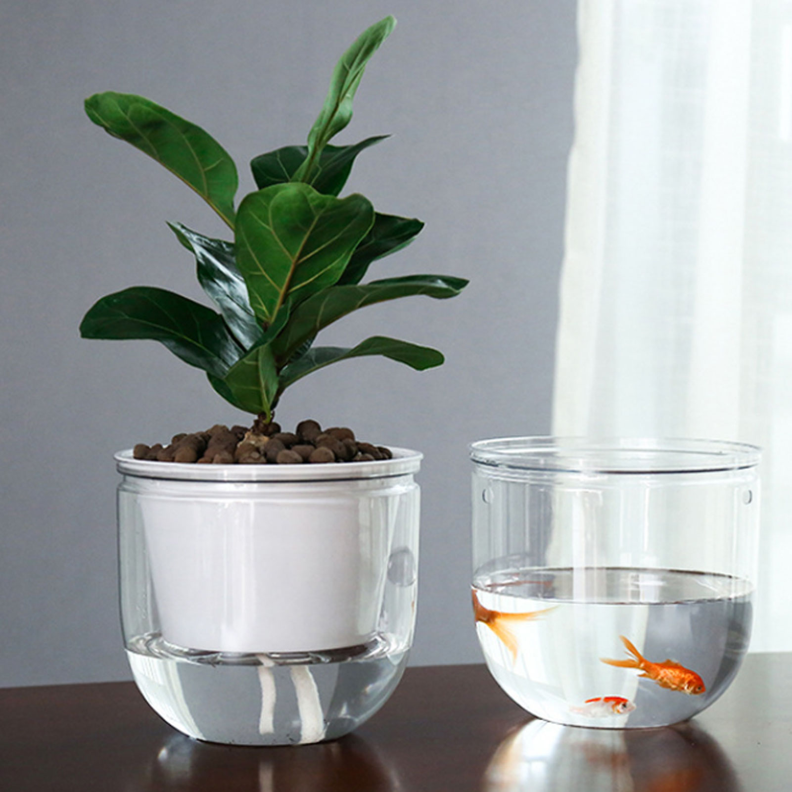 Automatic Self Watering Plant  - مراجعة Spider Plant Hanging وسعره