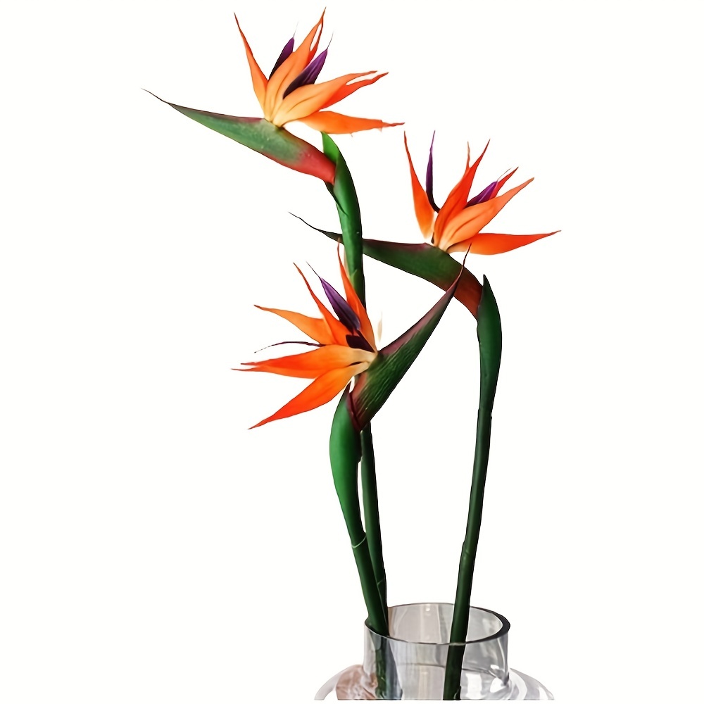 3pcs Artificial Bird Of Paradi - مراجعة Bird Paradise Strelitzia وسعره