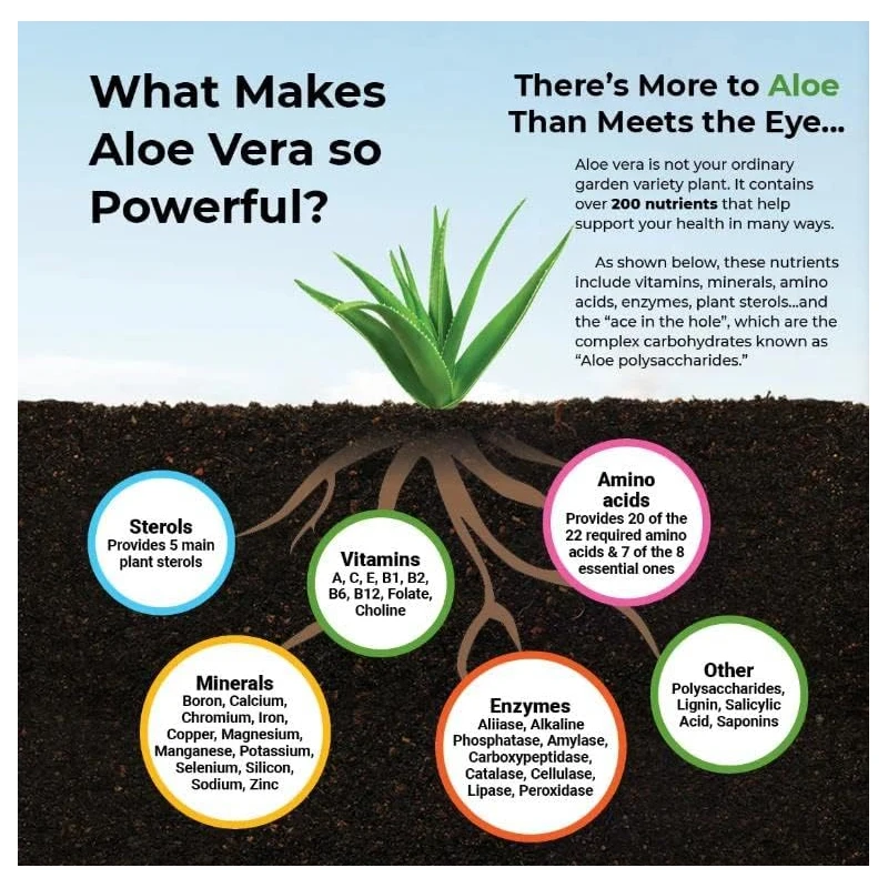 Aloe Vera Capsules - Help Prom - مراجعة Aloe Vera Pot وسعره