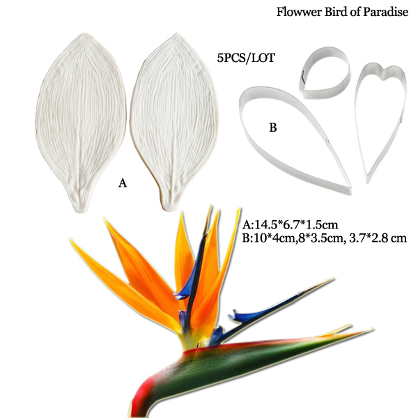 Large Gumpaste Strelitzia Bird - مراجعة Bird Paradise Strelitzia وسعره