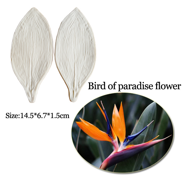 Large Gumpaste Strelitzia Bird - مراجعة Bird Paradise Strelitzia وسعره