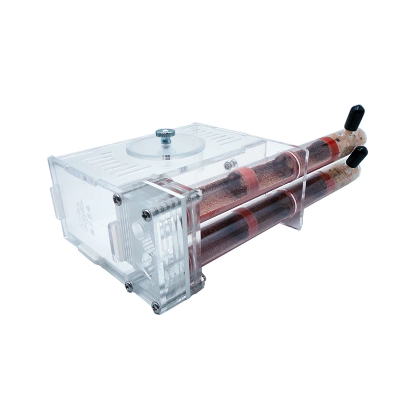 DIY Ant Farm 2 pcs 18-180mm Gy - مراجعة Begonia Rex وسعره