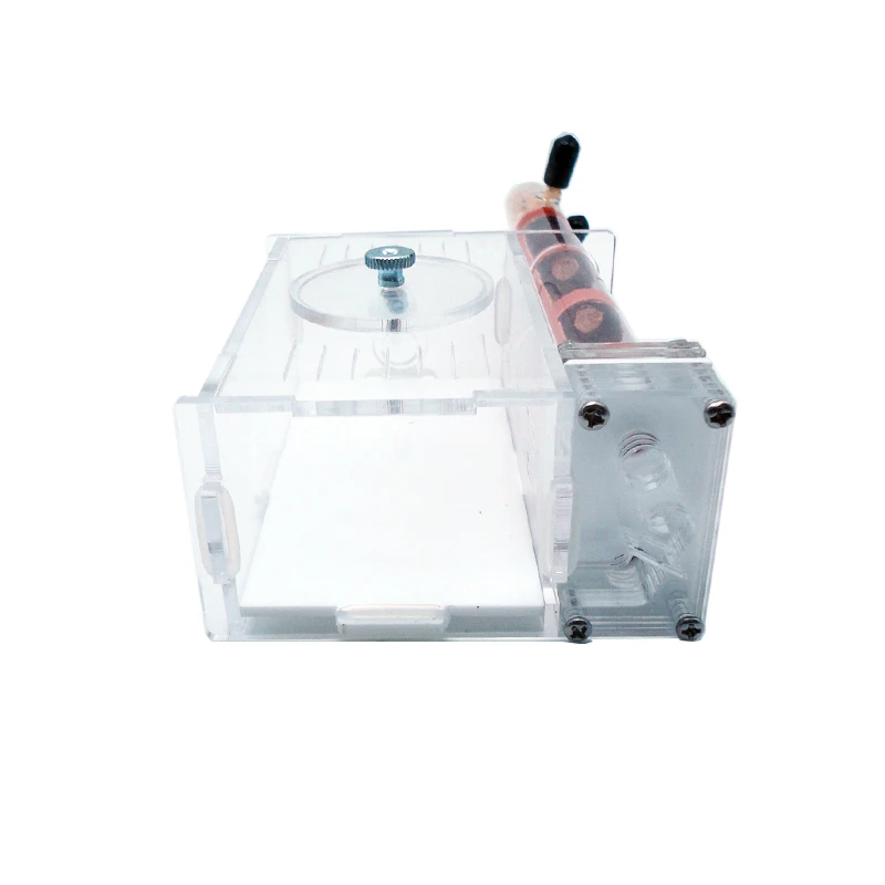 DIY Ant Farm 2 pcs 18-180mm Gy - مراجعة Begonia Rex وسعره