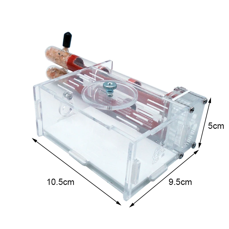 DIY Ant Farm 2 pcs 18-180mm Gy - مراجعة Begonia Rex وسعره
