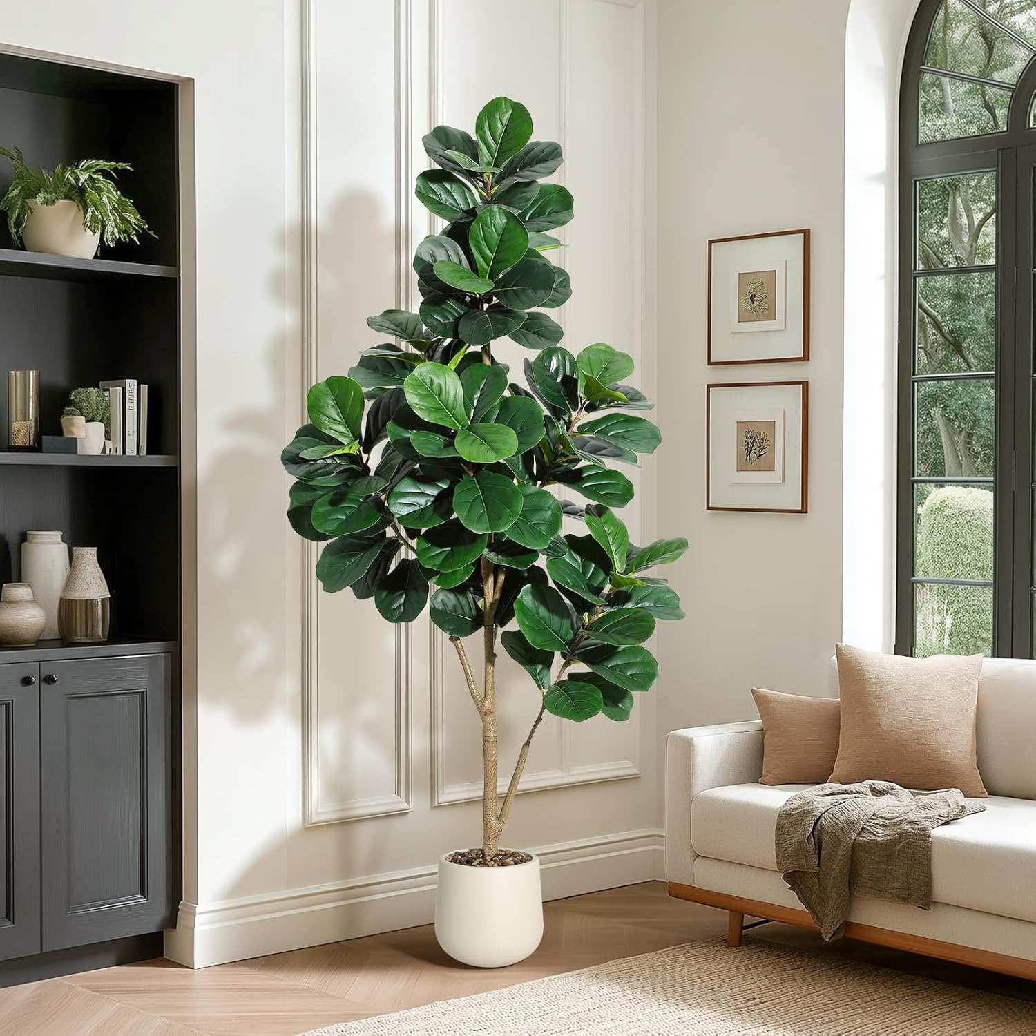 4-7 FT Fiddle Leaf Fig Tree Ar - مراجعة Ficus Lyrata Tree وسعره