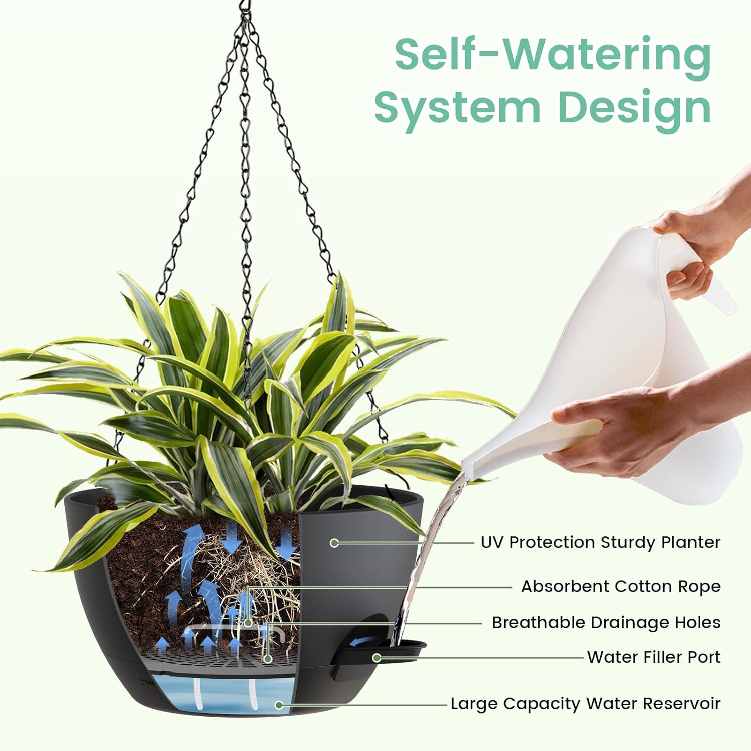 8 Inch Self Watering Hanging P - مراجعة Spider Plant Hanging وسعره