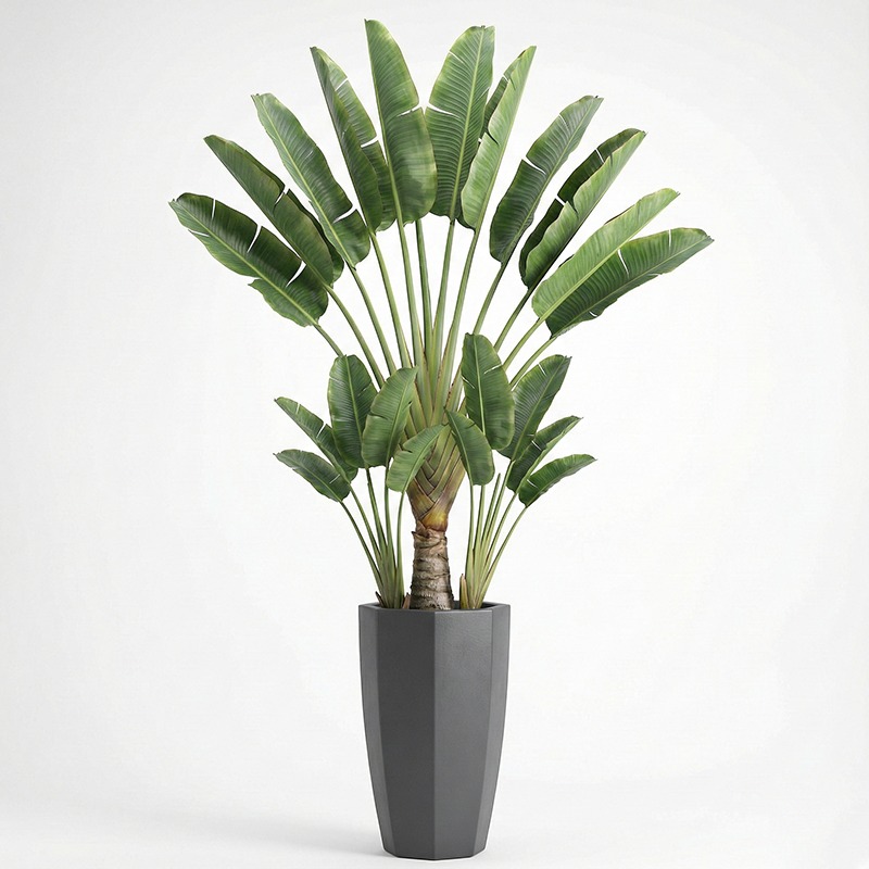 High-Simulation Plastic Fiddle - مراجعة Ficus Lyrata Tree وسعره