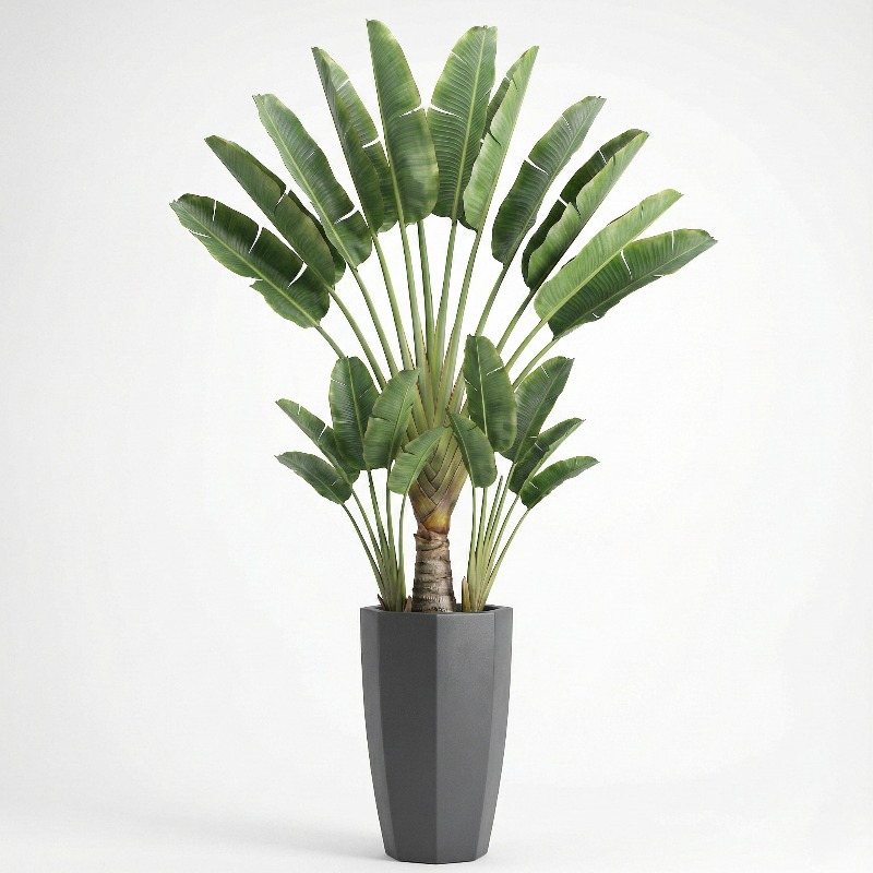 High-Simulation Plastic Fiddle - مراجعة Ficus Lyrata Tree وسعره