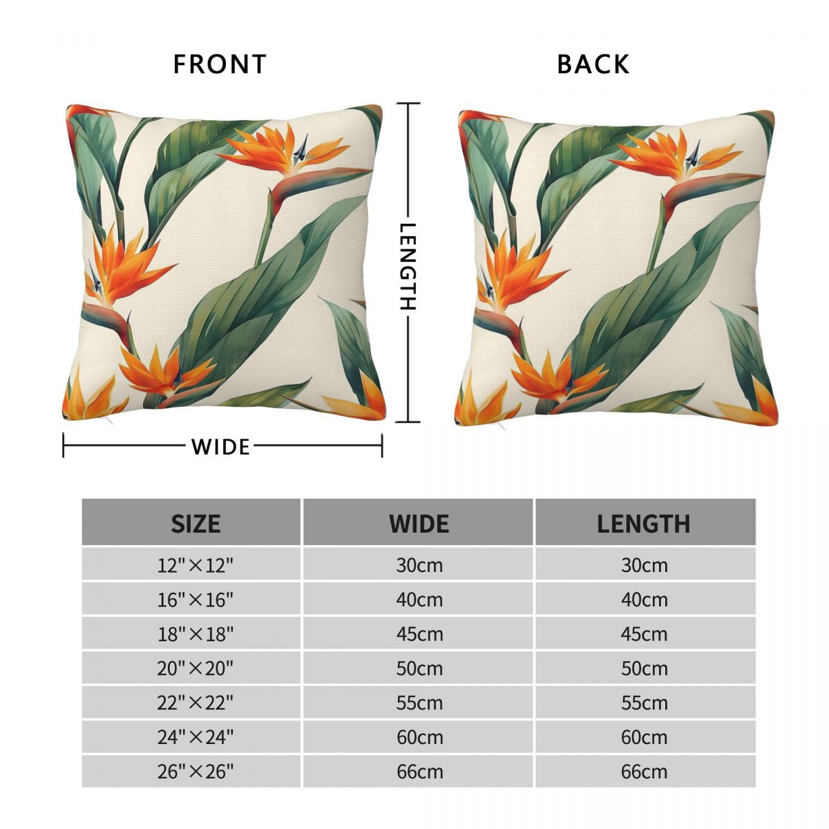 Bird Of Paradise Strelitzia Sq - مراجعة Bird Paradise Strelitzia وسعره