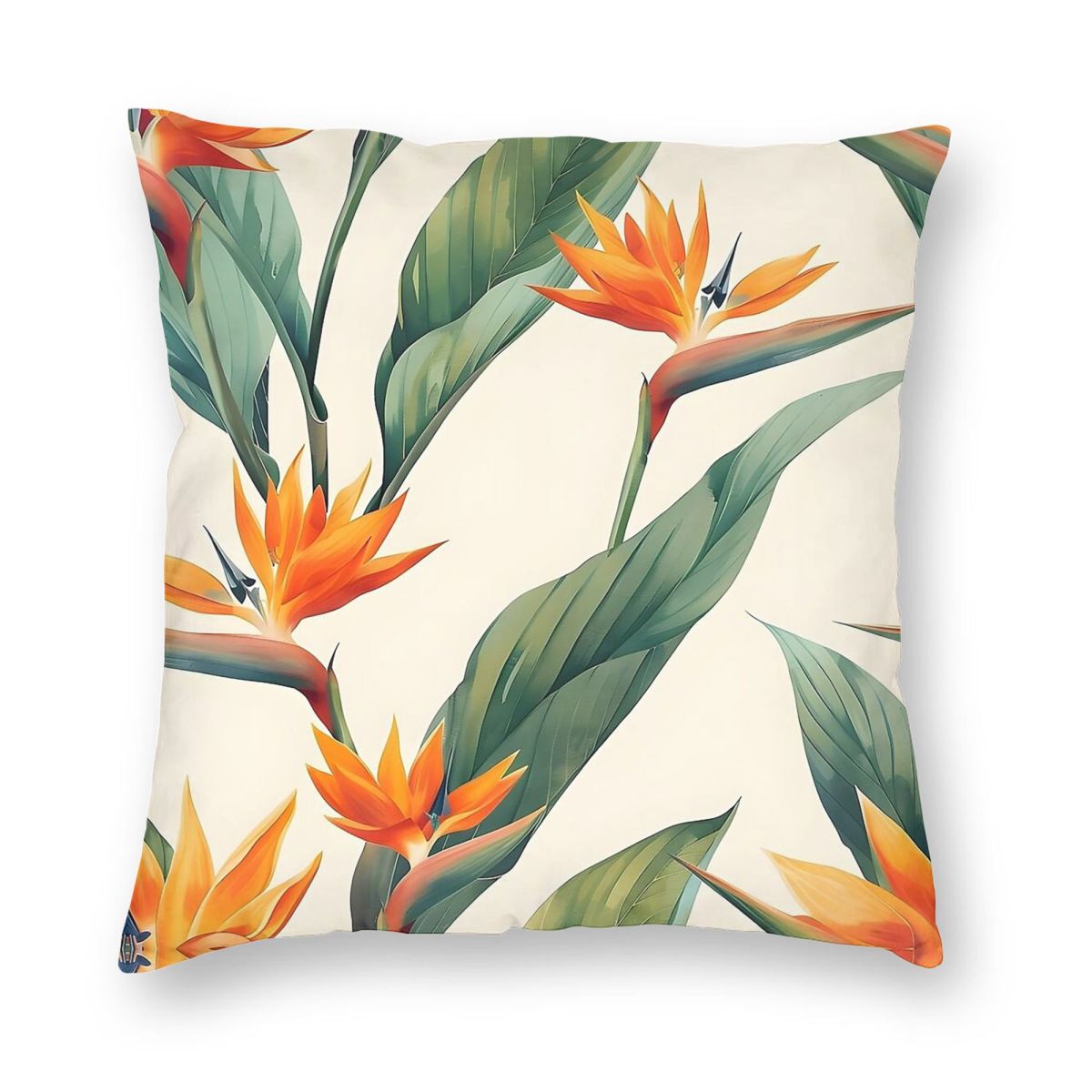 Bird Of Paradise Strelitzia Sq - مراجعة Bird Paradise Strelitzia وسعره