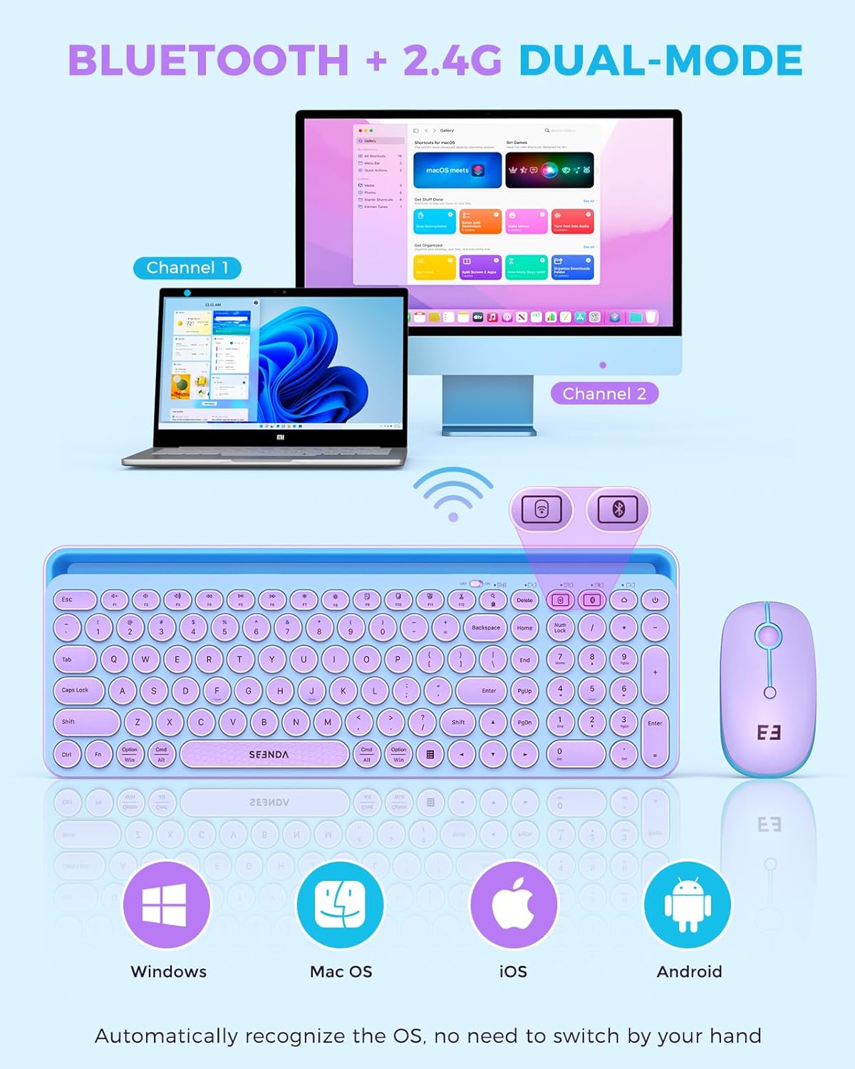 Wireless Keyboard and Mouse Co - مراجعة Tradescantia Purple وسعره