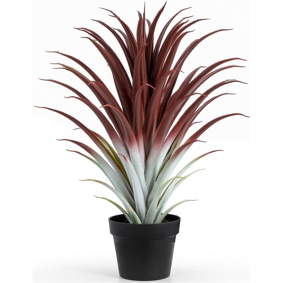 Hyper Realistic Big Red Artifi - مراجعة Aloe Vera Pot وسعره