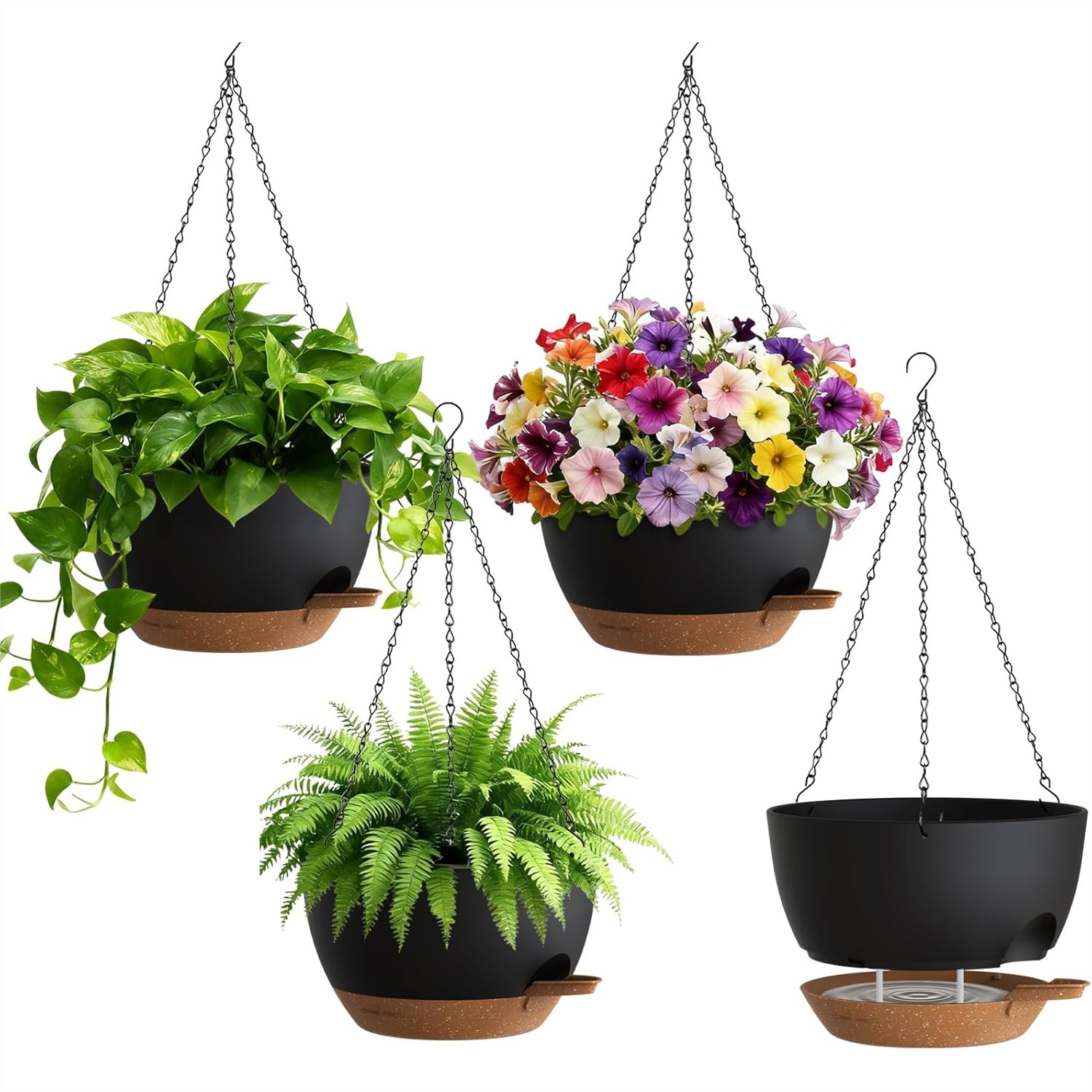 Self Watering Hanging Planters - مراجعة Spider Plant Hanging وسعره