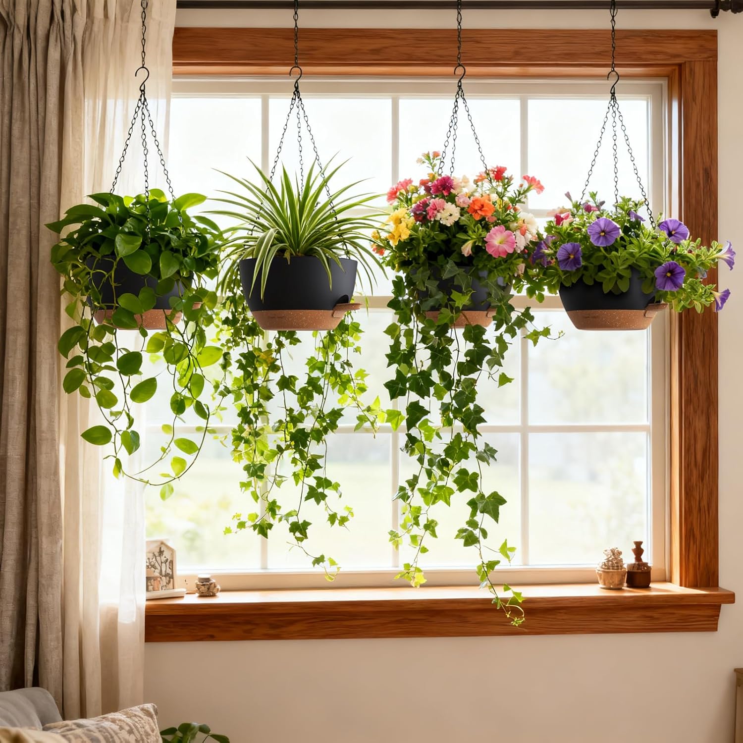 Self Watering Hanging Planters - مراجعة Spider Plant Hanging وسعره