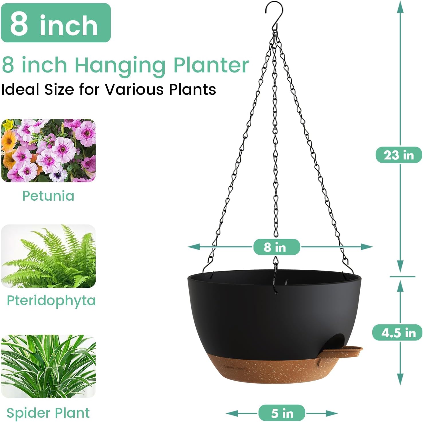 Self Watering Hanging Planters - مراجعة Spider Plant Hanging وسعره